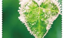 慢慢来，再试试