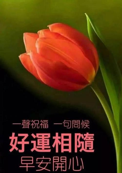 阳光照进我的心