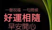 阳光照进我的心