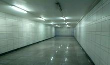 日光灯下的等待