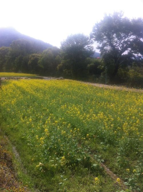 我用眼睛看我的家乡