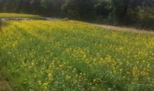 我用眼睛看我的家乡