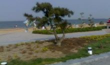 美丽的东疆沙滩