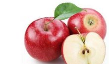 小种子，大未来