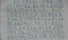 厉害了我的作文600字