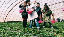 对世界充满惊喜