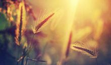 越来越阳光的我