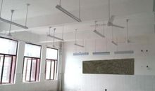 墙角草也有阳光的照明_350字