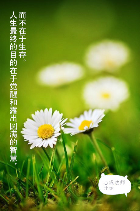 没有对与错