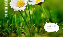 事情没有对错之说