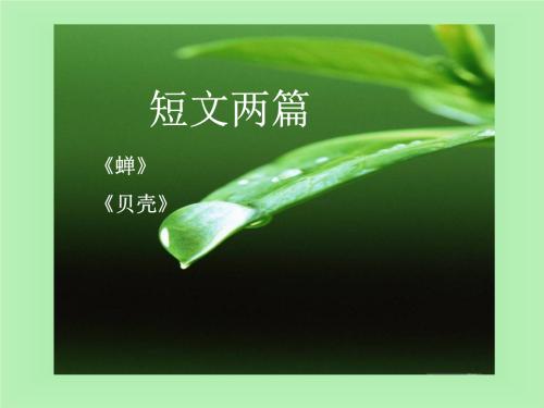 关于阅读《蝉》的思考