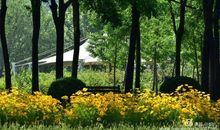 美丽的泰丰公园