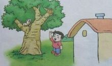 爱护小鸟看图写话