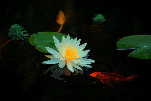 做事是一种状态