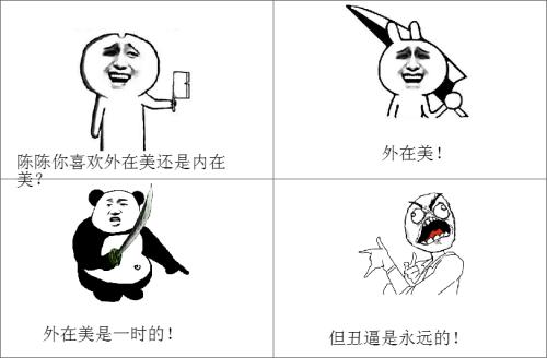 内在美与外在美组成
