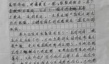 那次什么给我的启示作文