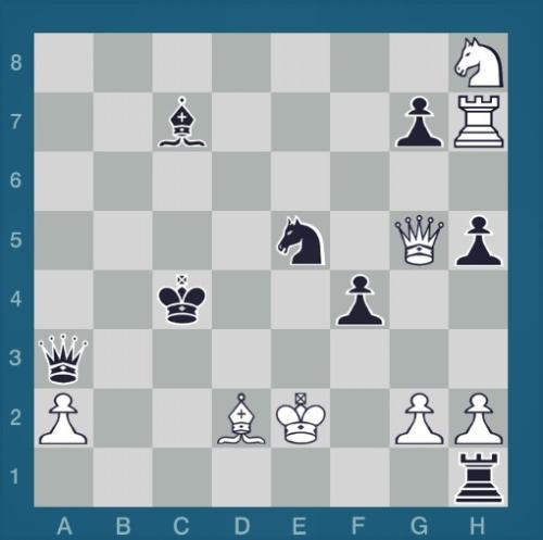 我喜欢国际象棋