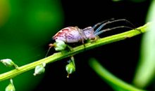 听，风掠过窗户的声音