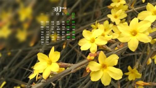 另请参阅冬季茉莉花