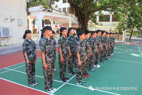 选择阳光