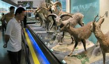 参观糕点博物馆