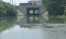 姥爷家门前的小河