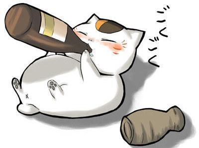 我的老师真善变