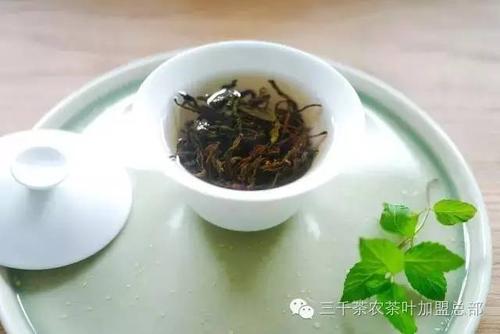 学习泡茶