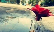 有一种长大叫大度