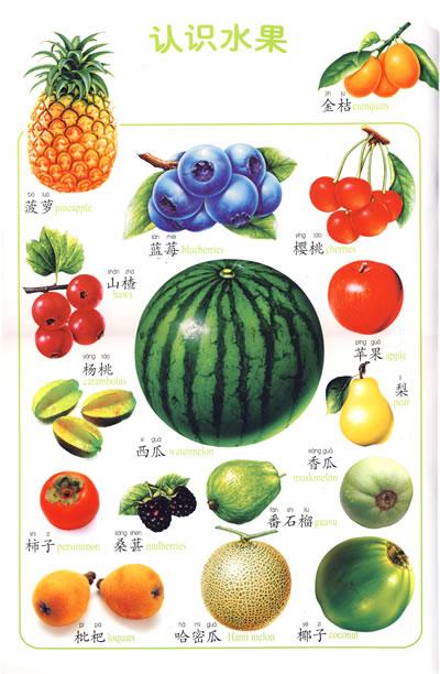 介绍水果