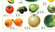 介绍水果