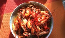 藏在虾中的父爱