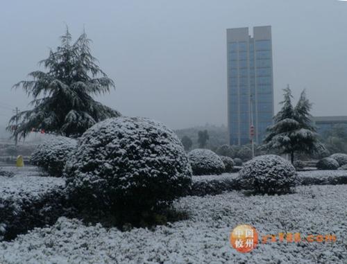 在公园里下雪