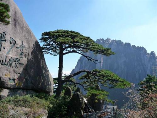 黄山研究