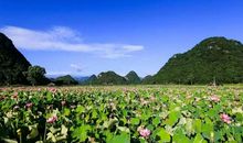 我拥有了整个夏天