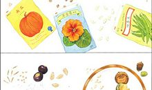 植物生长的秘密