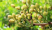 2019，我想对你说