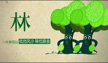 保护树木，从我做起