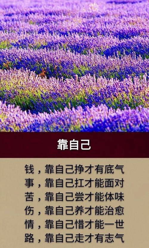 这条路必须自己走