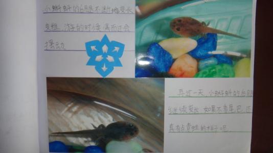的变态