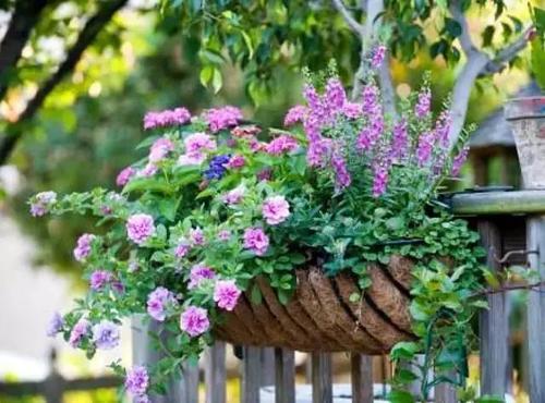 春天在我们房子的窗户外面