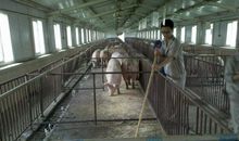 社会实践收获多