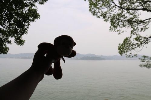 那年夏天的湖