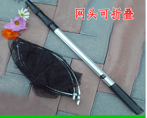 鱼sc