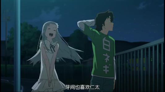 最美丽的花
