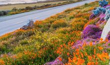 记忆停留在春风中