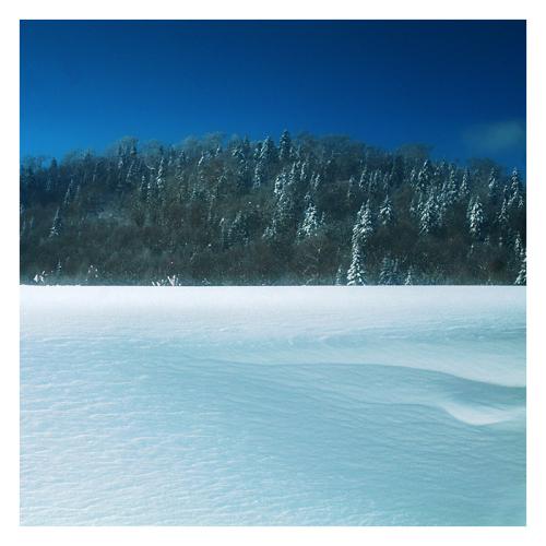 关于阅读《无痕大雪》的思考