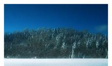 读《大雪无痕》有感