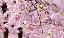 陪伴，让岁月更温暖