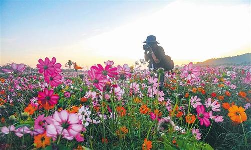 春暖花开